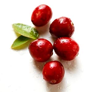 Detail Gambar Buah Cranberry Nomer 45