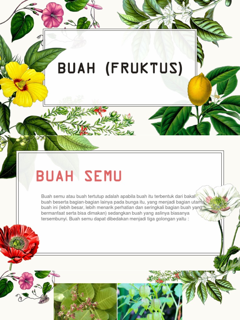 Detail Gambar Buah Dan Bunga Arbe Nomer 20