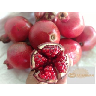 Detail Gambar Buah Delima Merah Nomer 48