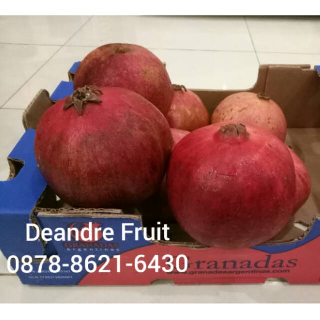 Detail Gambar Buah Delima Merah Nomer 49