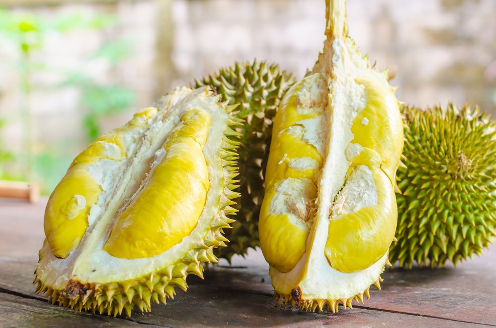 Detail Gambar Buah Durian Nomer 21