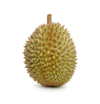 Detail Gambar Buah Durian Nomer 27