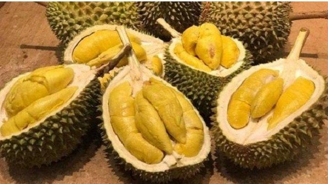 Detail Gambar Buah Durian Nomer 30