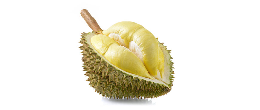 Detail Gambar Buah Durian Nomer 52