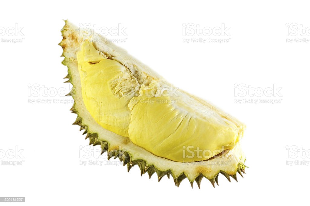 Detail Gambar Buah Durian Nomer 53