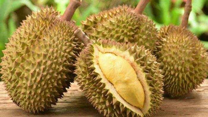 Detail Gambar Buah Durian Busuk Nomer 11