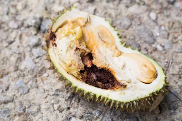 Detail Gambar Buah Durian Busuk Nomer 18