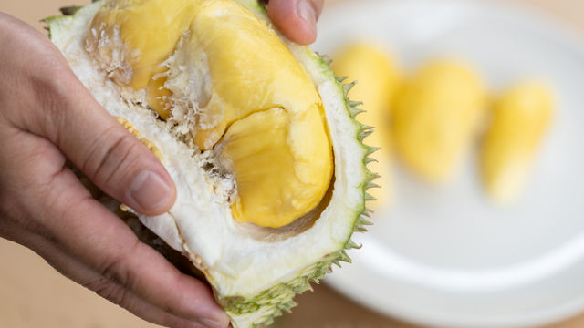 Detail Gambar Buah Durian Busuk Nomer 22