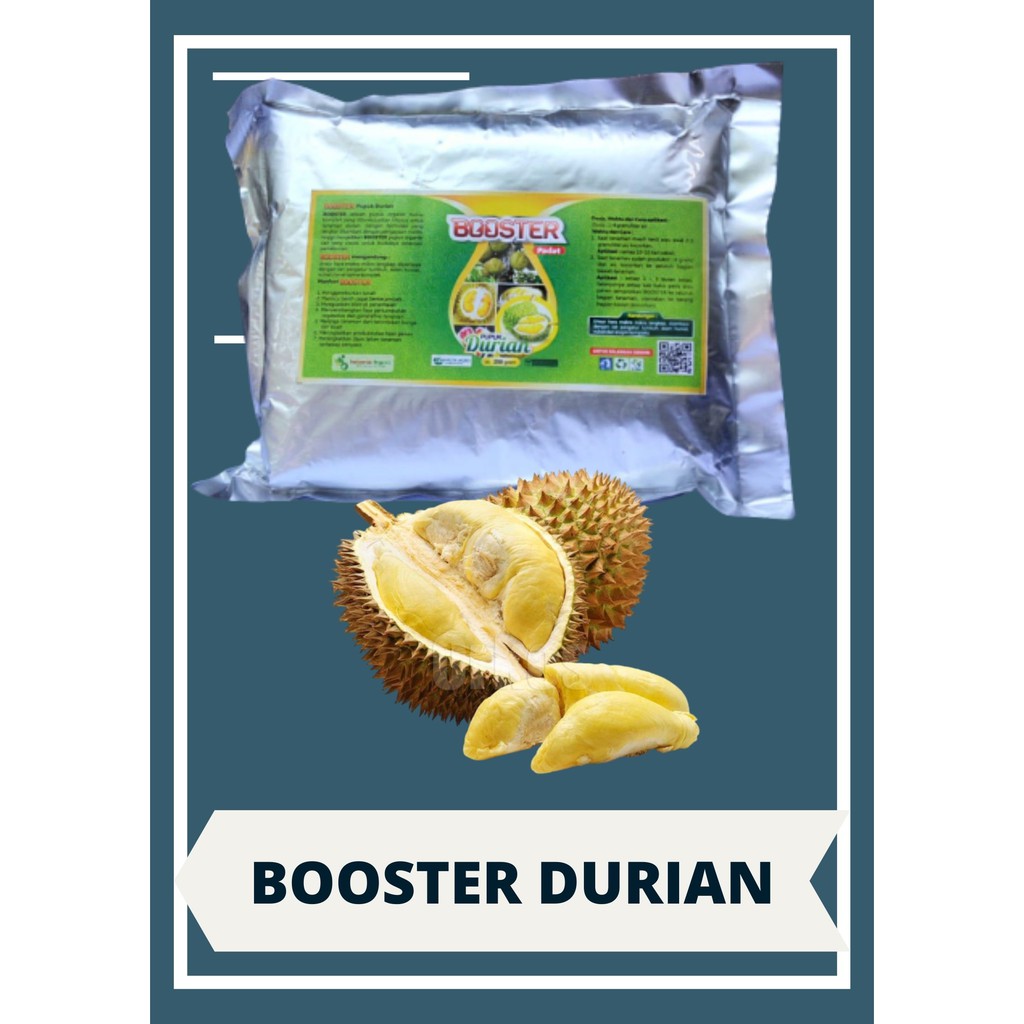 Detail Gambar Buah Durian Busuk Nomer 24