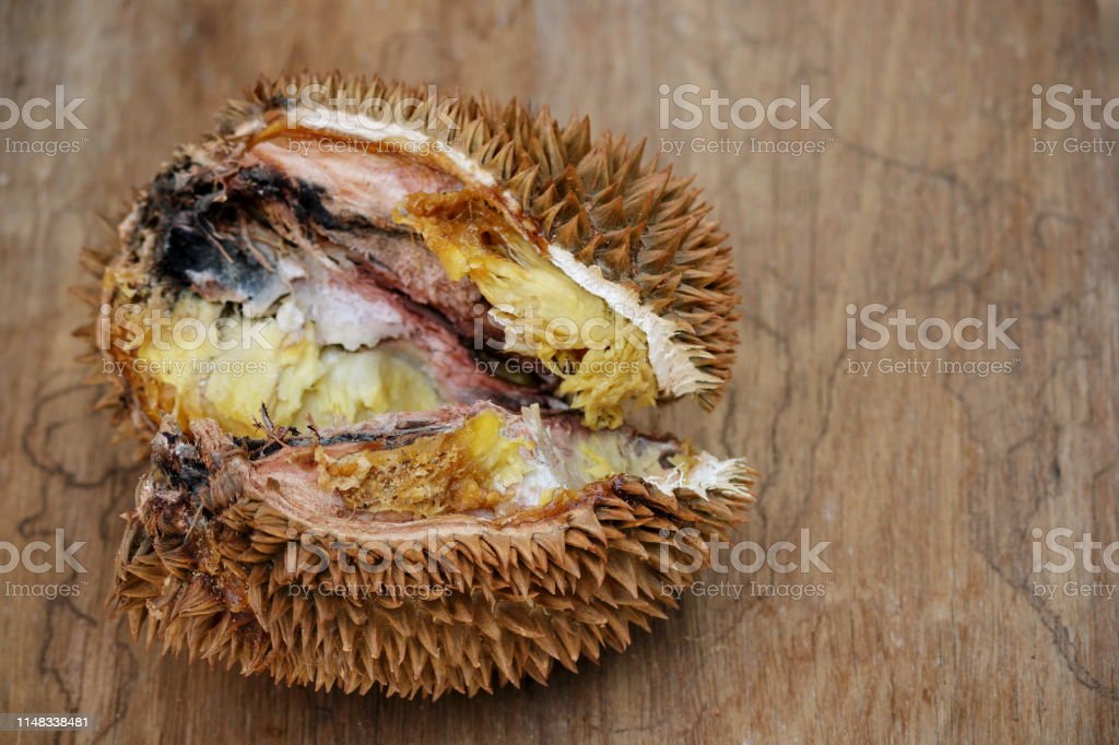 Detail Gambar Buah Durian Busuk Nomer 3