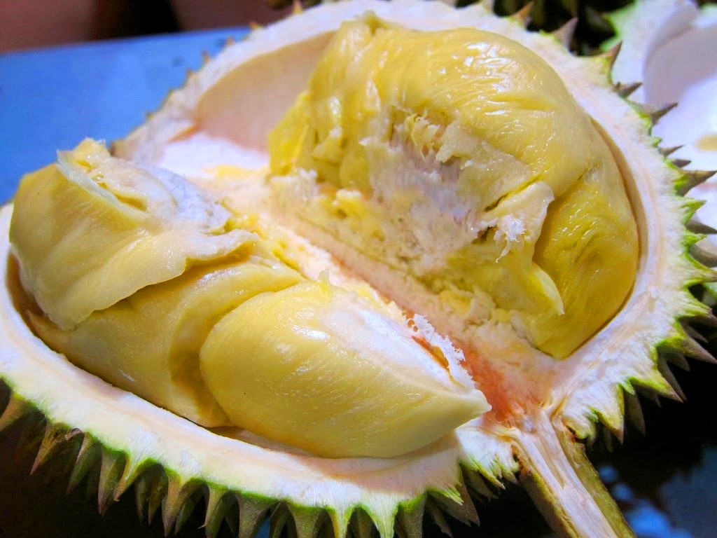 Detail Gambar Buah Durian Busuk Nomer 41