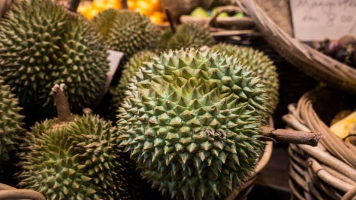 Detail Gambar Buah Durian Busuk Nomer 42