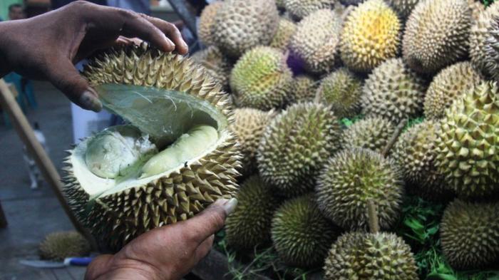 Detail Gambar Buah Durian Busuk Nomer 46