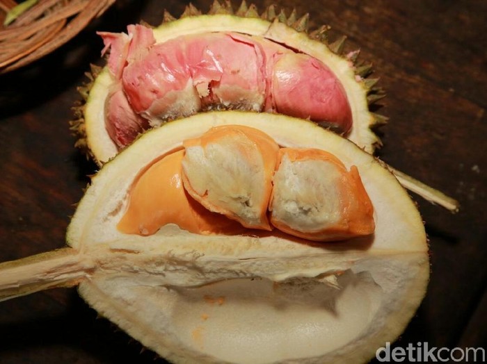 Detail Gambar Buah Durian Busuk Nomer 9