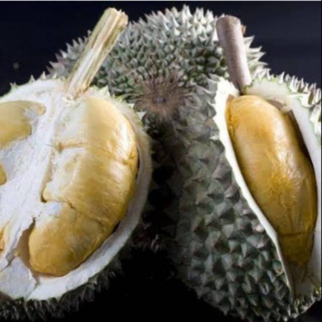 Detail Gambar Buah Durian Duri Hitam Nomer 10