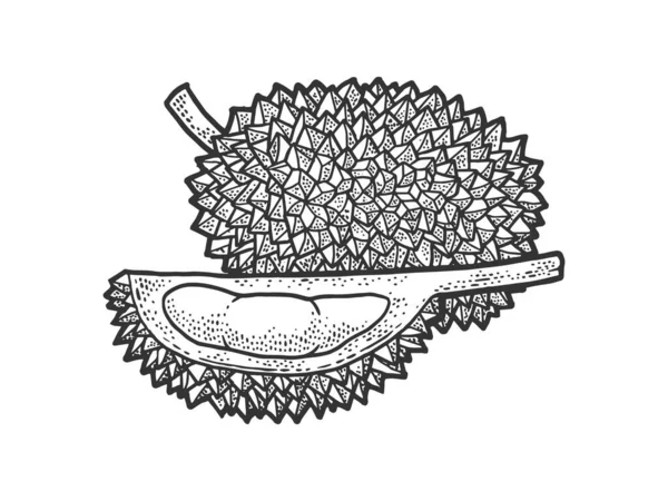 Detail Gambar Buah Durian Hitam Putih Nomer 49