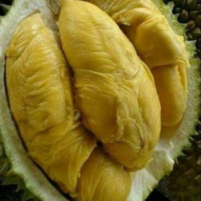 Download Gambar Buah Durian Montong Nomer 1