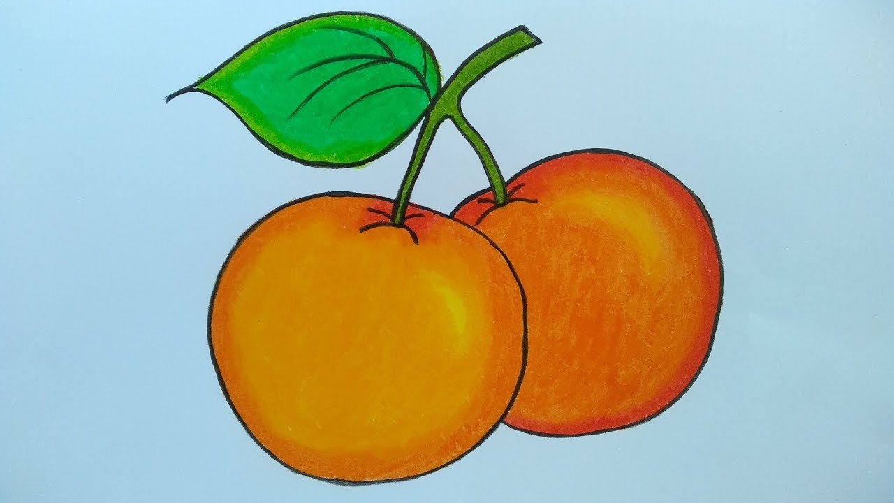 Detail Gambar Buah Gambar Animasi Buah Jeruk Nomer 19