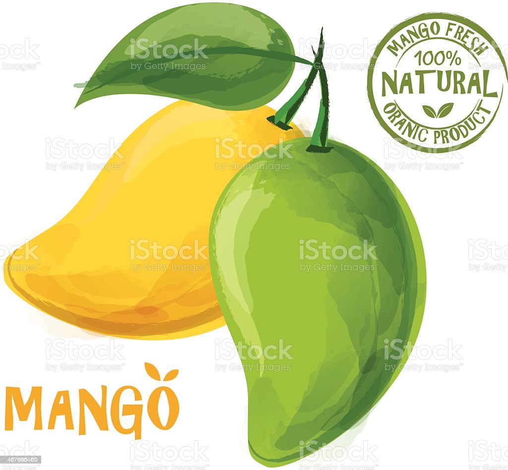 Detail Gambar Buah Gambar Animasi Buah Mangga Nomer 18