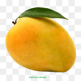 Detail Gambar Buah Gambar Animasi Buah Mangga Nomer 25