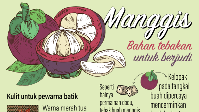 Detail Gambar Buah Gambar Animasi Buah Manggis Nomer 31