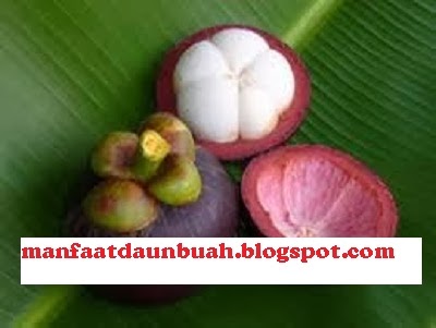 Detail Gambar Buah Gambar Animasi Buah Manggis Nomer 40