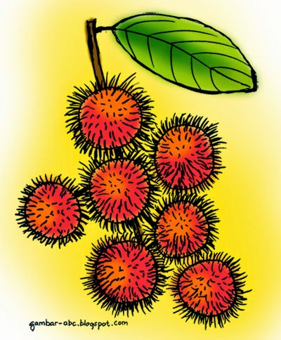 Gambar Buah Gambar Animasi Buah Rambutan - KibrisPDR