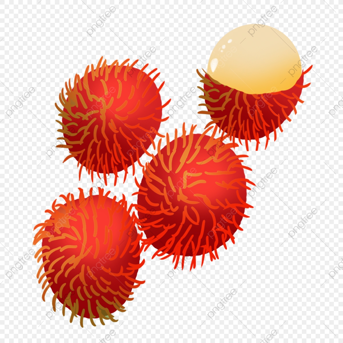 Detail Gambar Buah Gambar Animasi Buah Rambutan Nomer 9