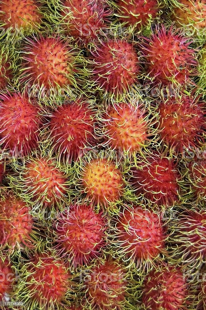 Detail Gambar Buah Gambar Animasi Buah Rambutan Nomer 29