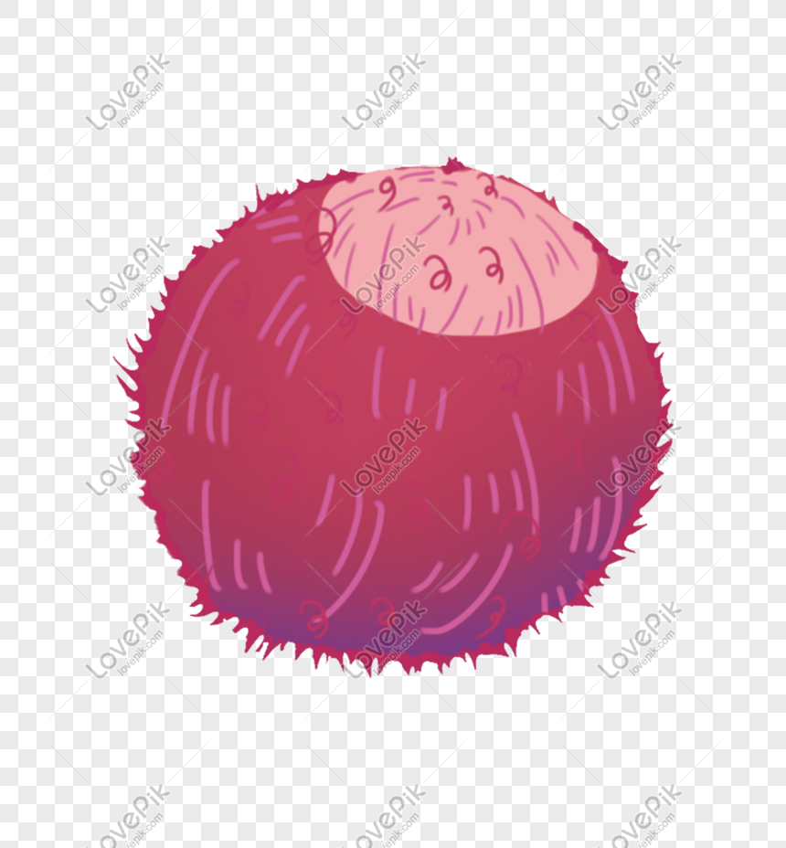 Detail Gambar Buah Gambar Animasi Buah Rambutan Nomer 33