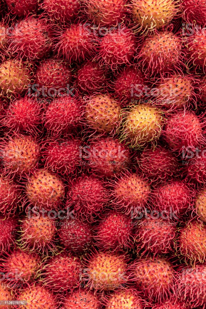 Detail Gambar Buah Gambar Animasi Buah Rambutan Nomer 35