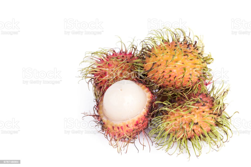 Detail Gambar Buah Gambar Animasi Buah Rambutan Nomer 36