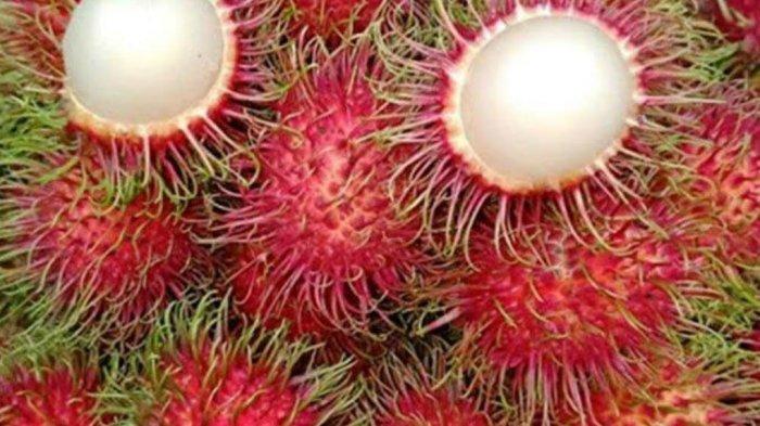 Detail Gambar Buah Gambar Animasi Buah Rambutan Nomer 45