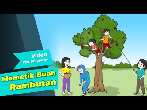 Detail Gambar Buah Gambar Animasi Buah Rambutan Nomer 47