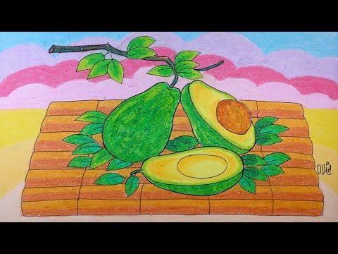 Detail Gambar Buah Gambar Buah Alpukat Nomer 42