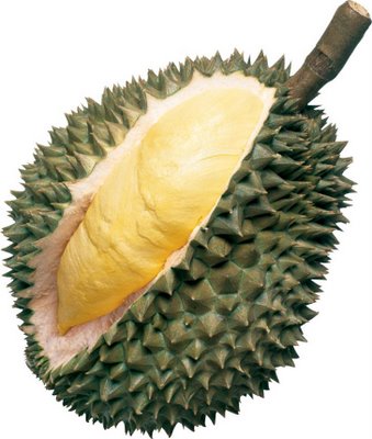 Detail Gambar Buah Gambar Buah Durian Nomer 15