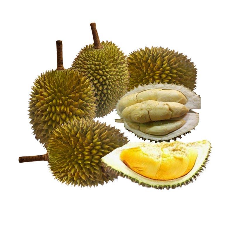 Detail Gambar Buah Gambar Buah Durian Nomer 26