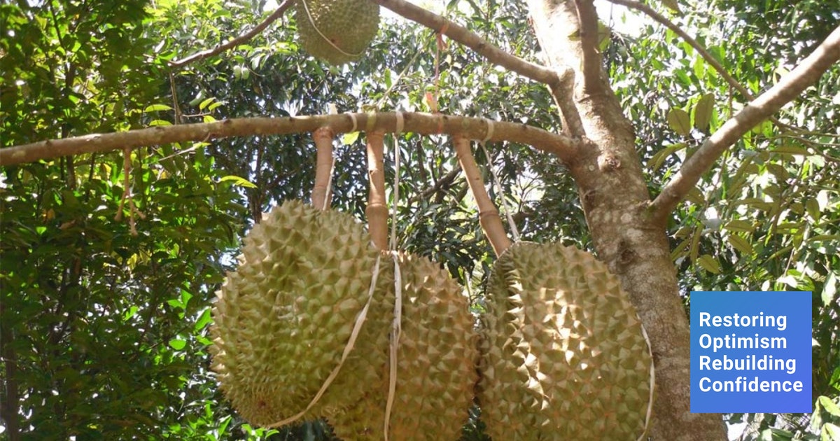 Detail Gambar Buah Gambar Buah Durian Nomer 52