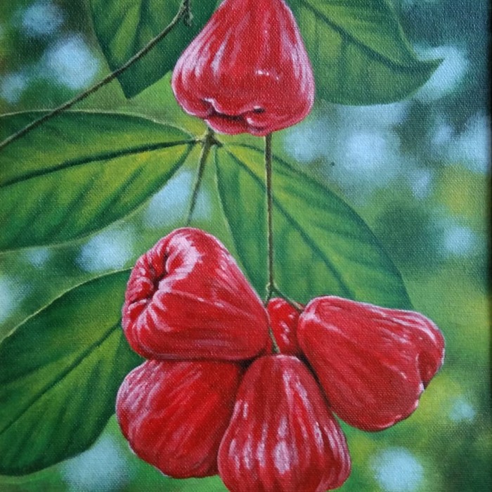 Detail Gambar Buah Gambar Buah Jambu Air Nomer 23