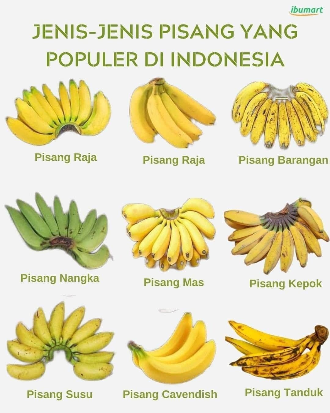 Detail Gambar Buah Gambar Buah Pisang Nomer 43