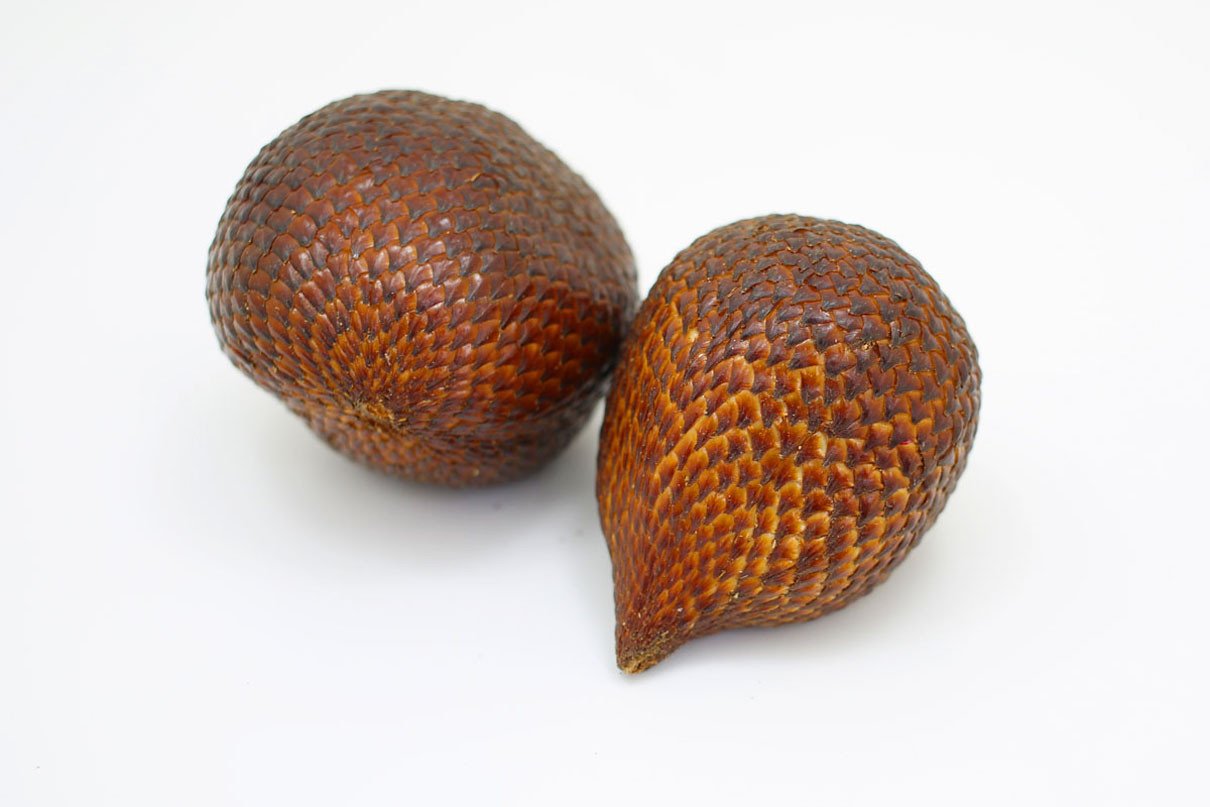 Detail Gambar Buah Gambar Buah Salak Nomer 16