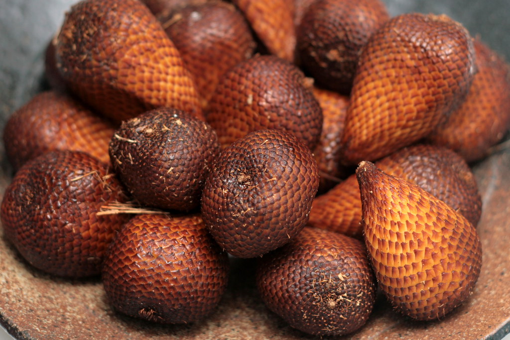 Detail Gambar Buah Gambar Buah Salak Nomer 4