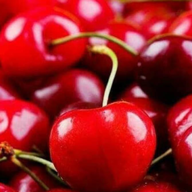 Detail Gambar Buah Gambar Cherry Nomer 35