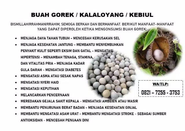 Detail Gambar Buah Gorek Nomer 8