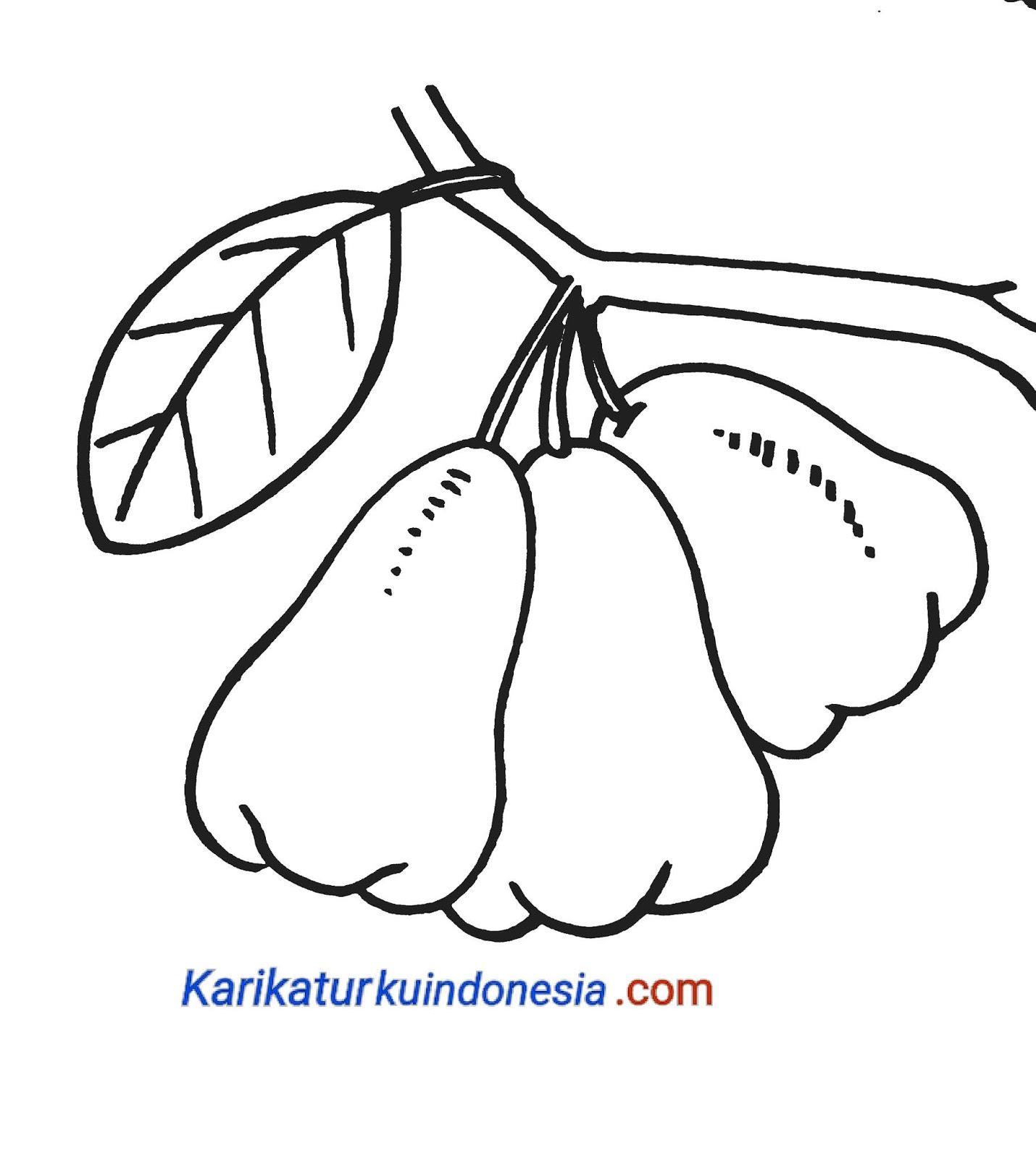 Detail Gambar Buah Jambu Kartun Nomer 30