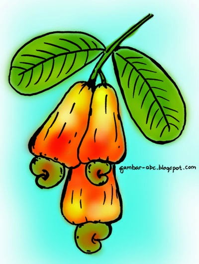 Detail Gambar Buah Jambu Kartun Nomer 31