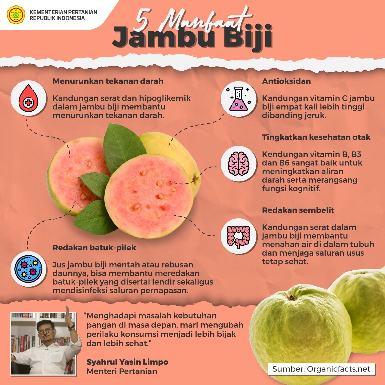 Detail Gambar Buah Jambu Merah Nomer 47