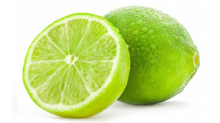 Detail Gambar Buah Jeruk Nipis Nomer 10