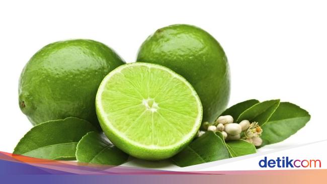 Detail Gambar Buah Jeruk Nipis Nomer 13