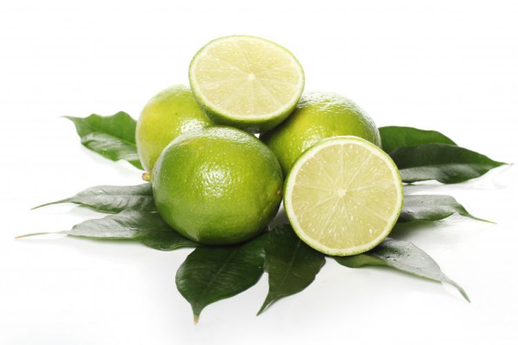 Detail Gambar Buah Jeruk Nipis Nomer 22